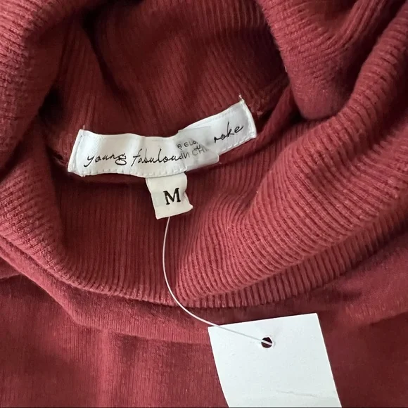 Young Fabulous & Broke NWT Turtleneck Mini Dress - Picture 8 of 14